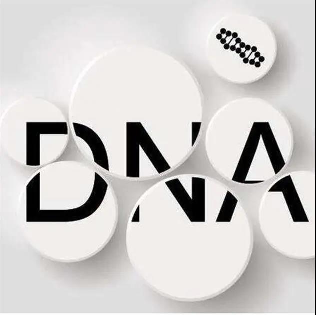 DNA亲子鉴定结果