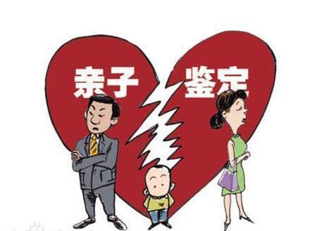 DNA亲子鉴定结果