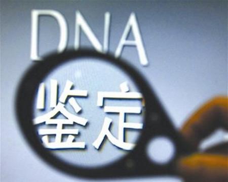 DNA亲子鉴定多久出结果