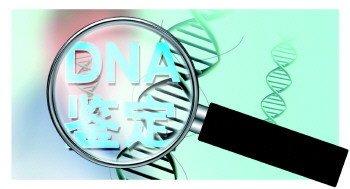 DNA亲子鉴定能做