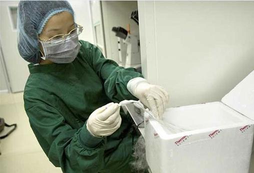 血液血痕亲子鉴定多少钱