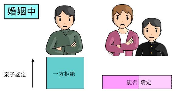 司法亲子鉴定流程