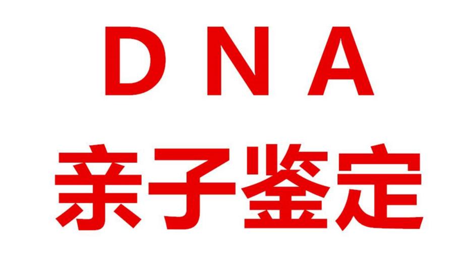 DNA亲子鉴定多少钱
