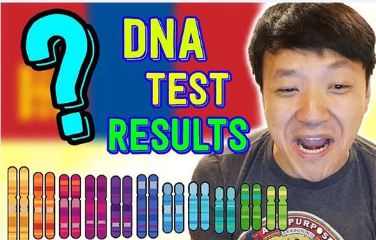 DNA亲子鉴定怎么做
