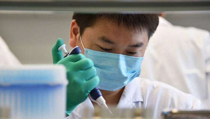 DNA亲子鉴定多久出结果