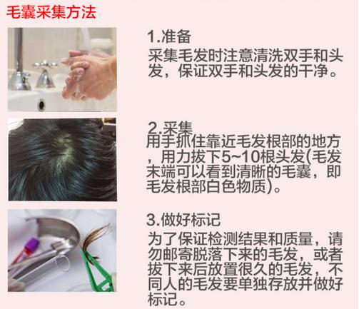 DNA亲子鉴定怎么做