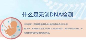 无创亲子鉴定如何做