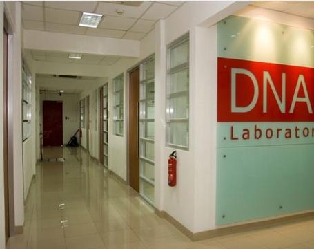 DNA亲子鉴定能做