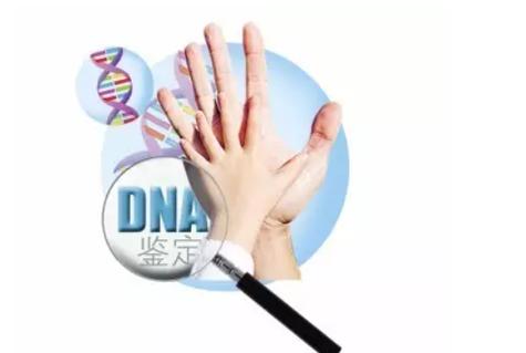 DNA亲子鉴定方法