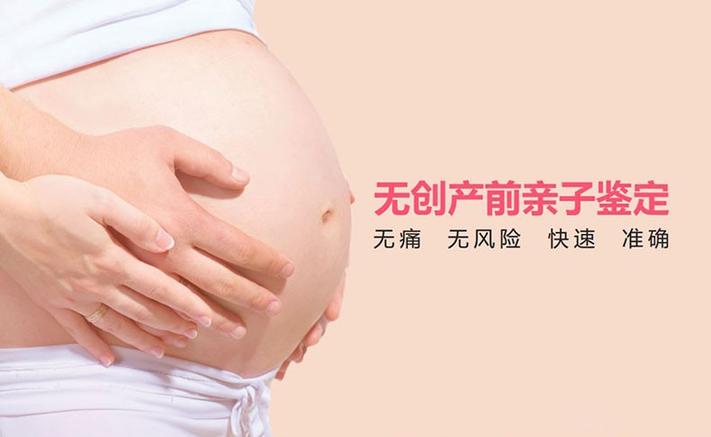 DNA亲子鉴定流程