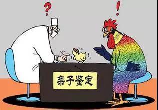 胎儿流产物亲子鉴定能做